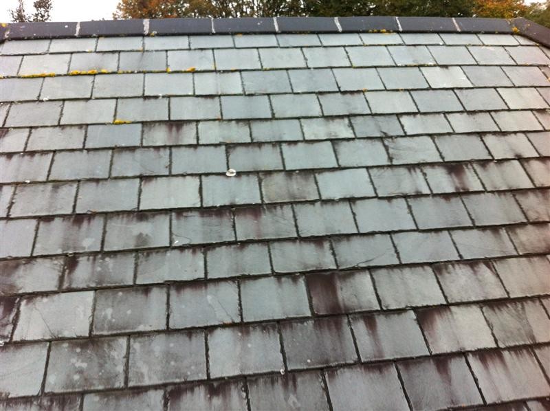 A slate roof showing moss and algae before cleaning by by Pro Wash, Cork, Ireland