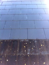 A slate roof showing some slates before cleaning and some after cleaning by Pro Wash, Cork, Ireland